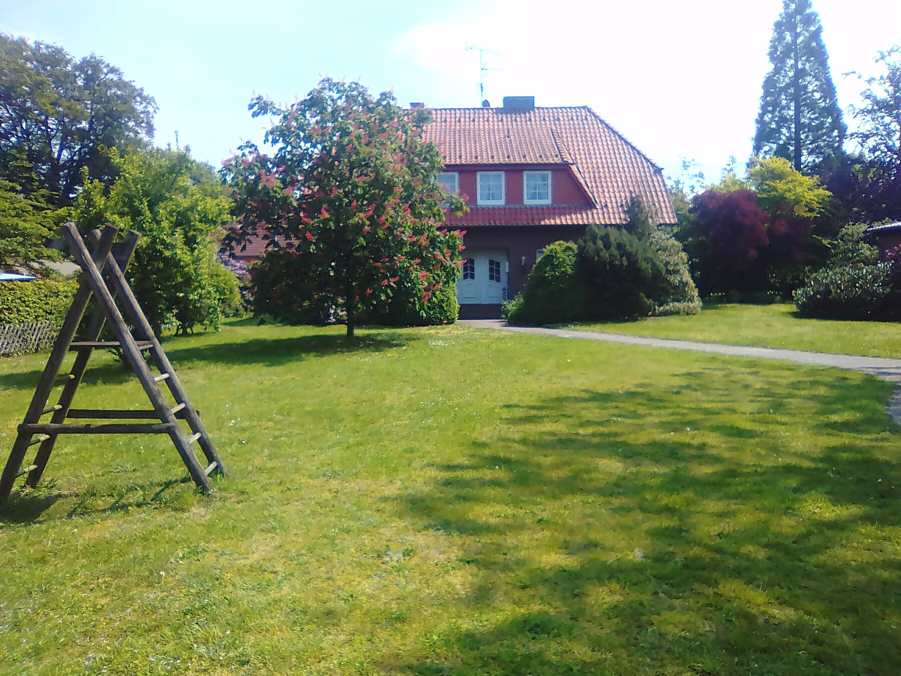 Galerie-Bild